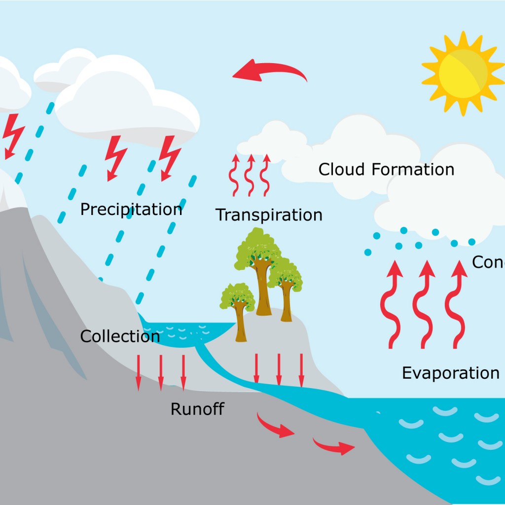 Diagram Of Water Cycle Diagrams My XXX Hot Girl